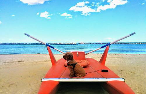 Residence Cima - Foto 33