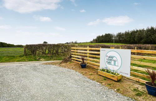 Celyn Bach - Uk37083 - Foto 8