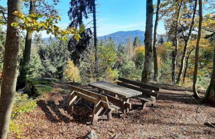 Haus Am Waldesrand - Foto 17