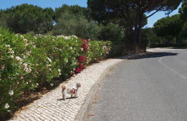 Albufeira - Casa Balaia Resort - Foto 22