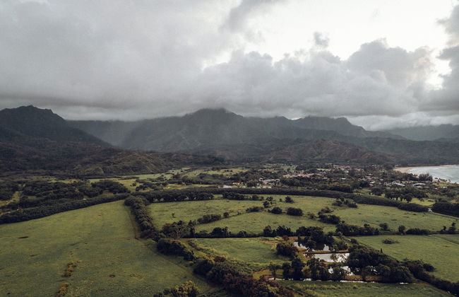 Banyan Harbor Resort - Foto 155