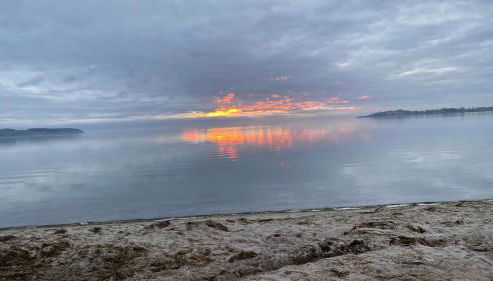 Chalet Möwenblick Rügen mit Meerblick, Sauna und Kamin - Foto 3