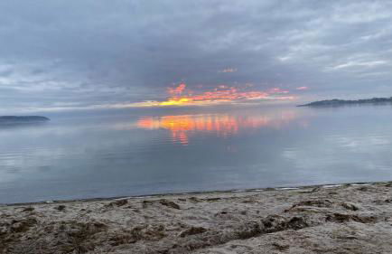 Chalet Möwenblick Rügen mit Meerblick, Sauna und Kamin - Foto 3