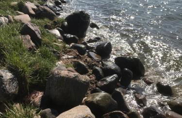 Ferienwohnung auf Rügen mit Boddenblick - Foto 60