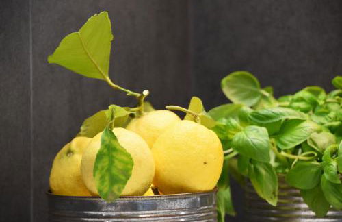 Pietraverdemare - Foto 58