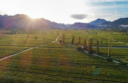 Villa Granny Nevenka near MAKARSKA - Foto 17