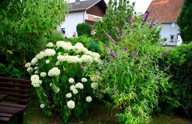 Holiday Home in Badenhausen - Foto 15