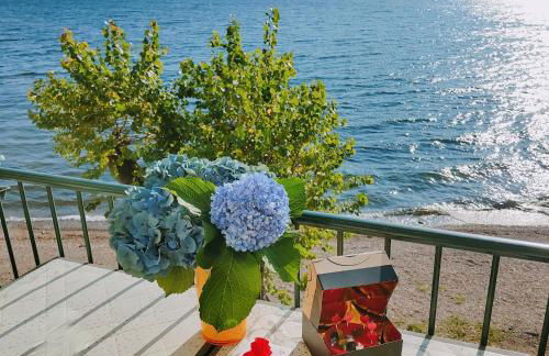 Scarlet Flower - Lago Maggiore - Foto 15