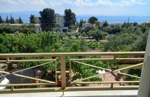 Villa Evàlia Complex -maisonnette -Eretria - Photo 17