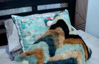 Avalon Sunrise our enchanting Glastonbury cottage - Foto 34