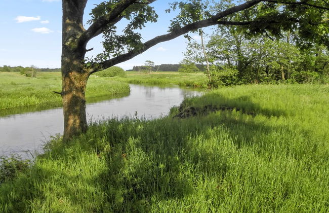 "Beatha" - 25km to the fjord - Foto 7