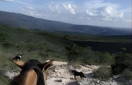 Sítio Piscina natural, Trilha e Cachoeira - Foto 47