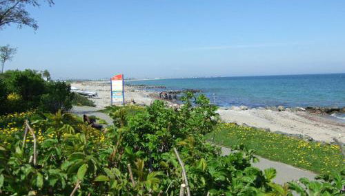 Ferienwohnung Wildrose - Foto 3