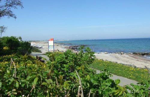 Ferienwohnung Wildrose - Foto 3