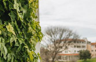 Sea Breeze - Foto 54