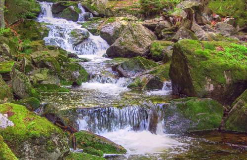 FeWo Am alten Holzplatz - Foto 37