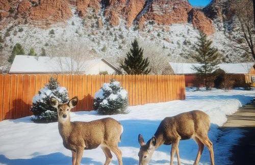 Cozy Home with Sauna 5 bedrooms 3 bathrooms Sleeps 12 - Foto 44