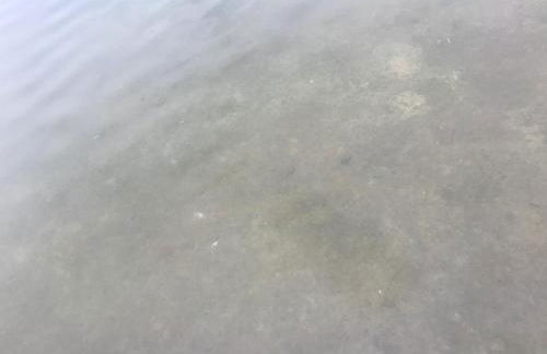 Cabin on Little Lake Emily & ATV Trails - Foto 47