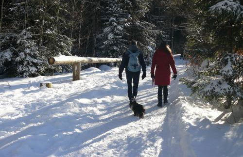 4-Sterne Ferienhaus Rösslewiese Hinterzarten - Foto 33