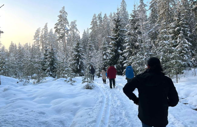 Excursão ao Parque Nacional de Sipoonkorpi + Sauna finlandesa - Foto 9