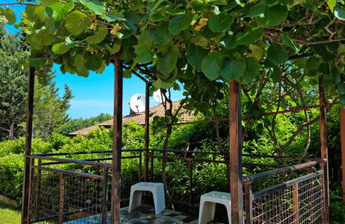 Juli No3 & No4 - Foto 39