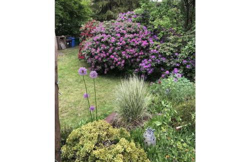 Holiday home with 2 bedrooms - Foto 32