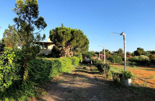 Strofilia Farm House, Kalogria! The Sea, The Forest, The Sun - Foto 18