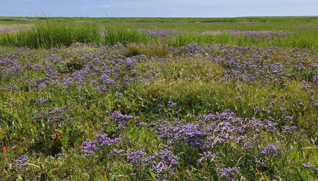 4 Person Holiday Home in Bramming-by Traum - Foto 3