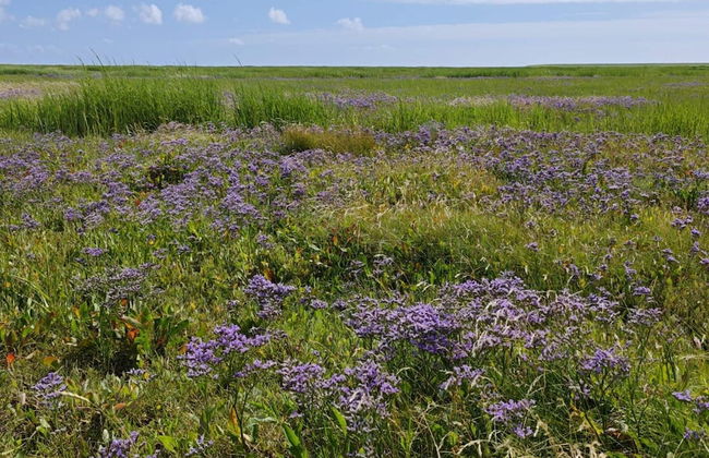 4 Person Holiday Home in Bramming-by Traum - Foto 3