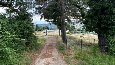 Casetta Pierluigi - Foto 5