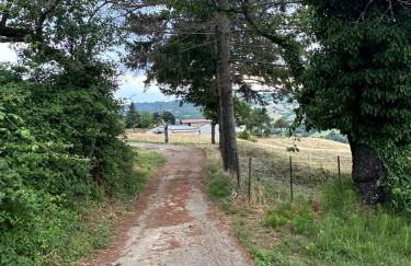 Casetta Pierluigi - Foto 5