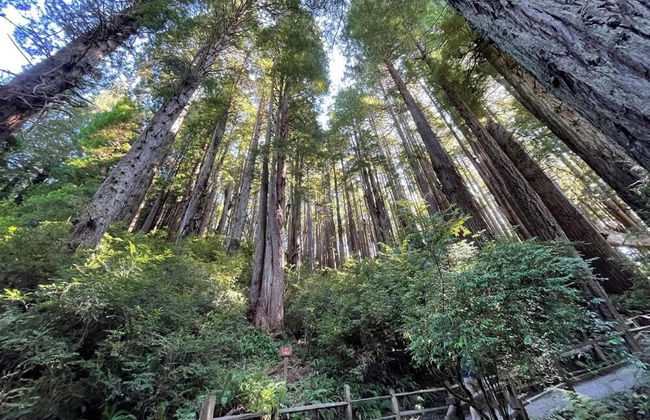 Ocean Front Cabin 16 Jacuzzi Incredible Views - Foto 48