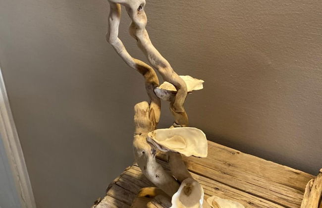 Salamureci - Foto 37