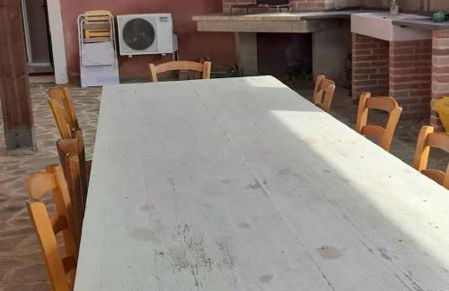 Il rosmarino - Foto 15