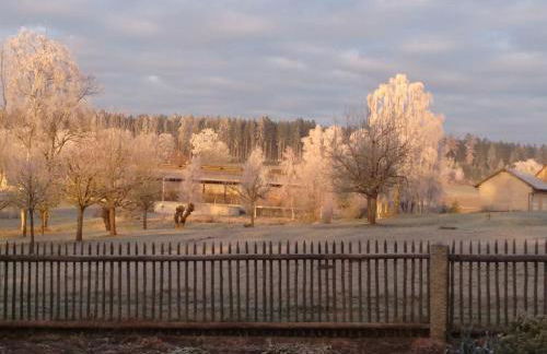 Austragshaus Almbranz - Foto 42