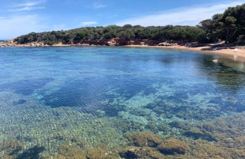 Grande Villa, Corse du Sud, Domaine privé de Cala Rossa - Foto 23