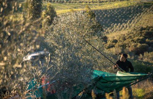 Acushla Original House Douro - Foto 23