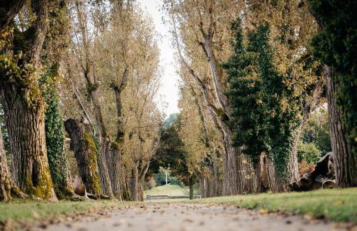 LaMiaCasa Green Suite Terrace Near City Center - Foto 26