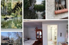 Spreewaldpension Beesk - Foto 14