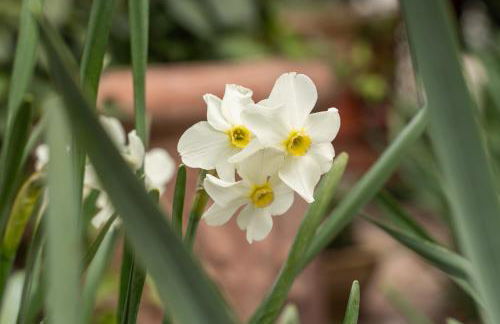 Agriturismo Pozzo Fiorito - Foto 55