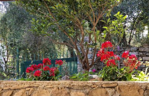 A Ca du Giaba - Foto 16