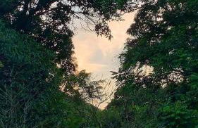 Bem-vindos ao refúgio de Paz - Foto 1