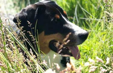 Ferienwohnung Friesenstube - Foto 50