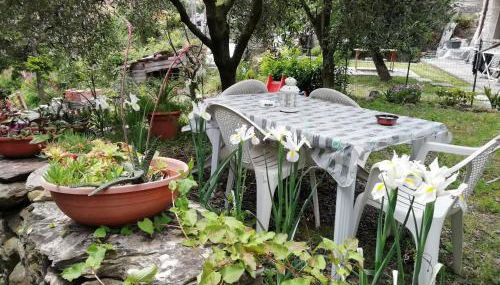 Mare, Monti e...Cinque Terre - Foto 4