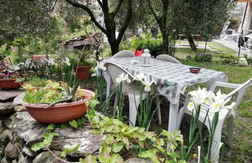Mare, Monti e...Cinque Terre - Foto 4