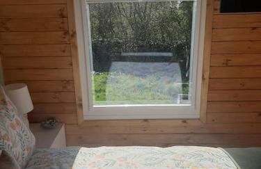 Anglesey new modern shepherds hut with spa hot tub - Foto 34