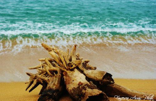 Residence L'Isola Surf House - Photo 94