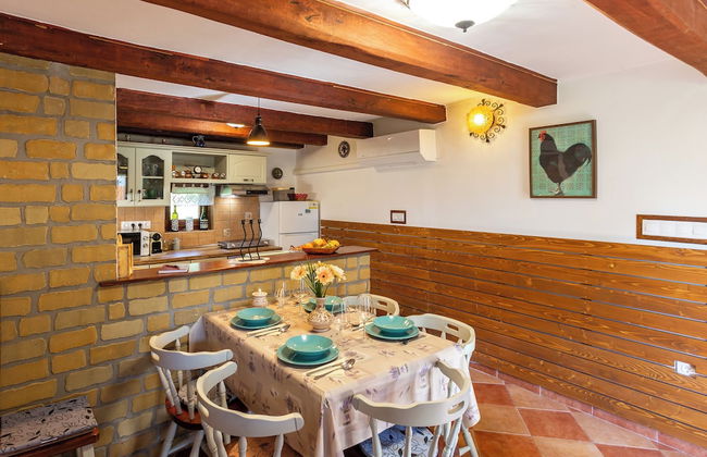 The Bird of Happiness-heaven for Dogs - Foto 22