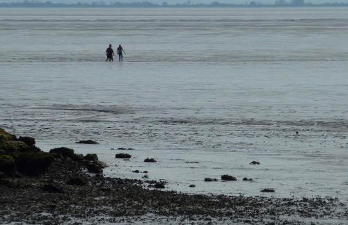 Ferienwohnung Meer&mehr - Foto 22