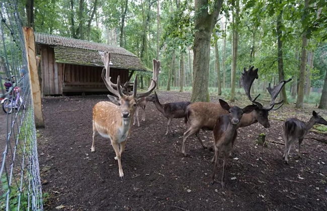 Appartement in Reizvoller Nachbarschaft - Foto 36